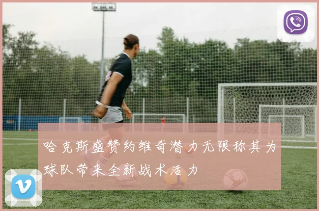 哈克斯盛赞约维奇潜力无限称其为球队带来全新战术活力