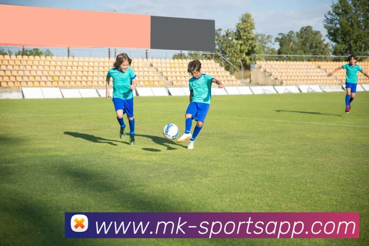 MK体育平台生态图