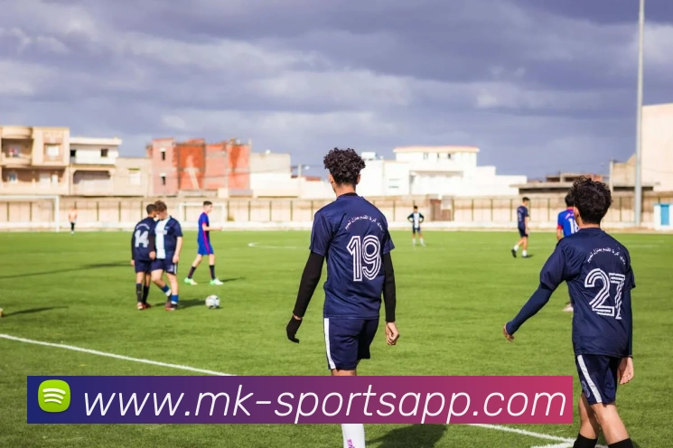 MK体育APP 封面图